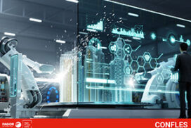 confles web 1