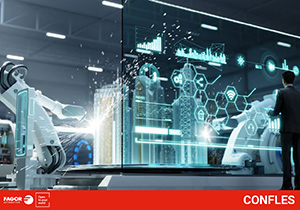 confles web 1